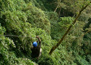 jungle surfing